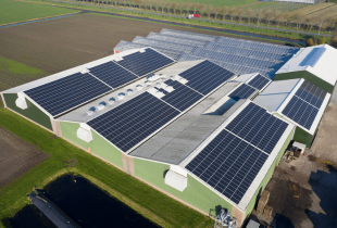 Commercial Solar Installation in Port Wentworth, GA